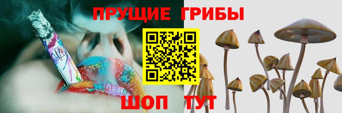 Галлюциногенные грибы Psilocybe  Галлюциногенные грибы мицелий  Туймазы  Вход с VPN 